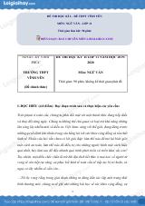Giải đề thi kì 2 Ngữ văn lớp 11 năm 2019 - 2020 trường THPT Vĩnh Yên